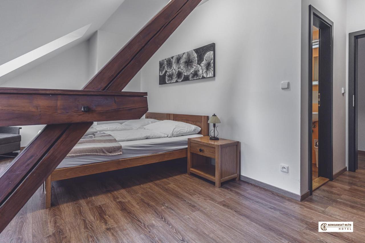 Hotel Nemojansky Mlyn Nemojany Esterno foto